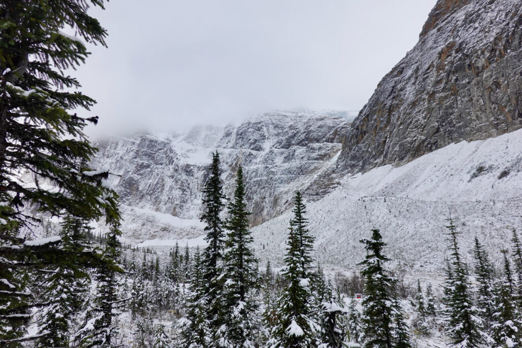 mount edith cavell winter