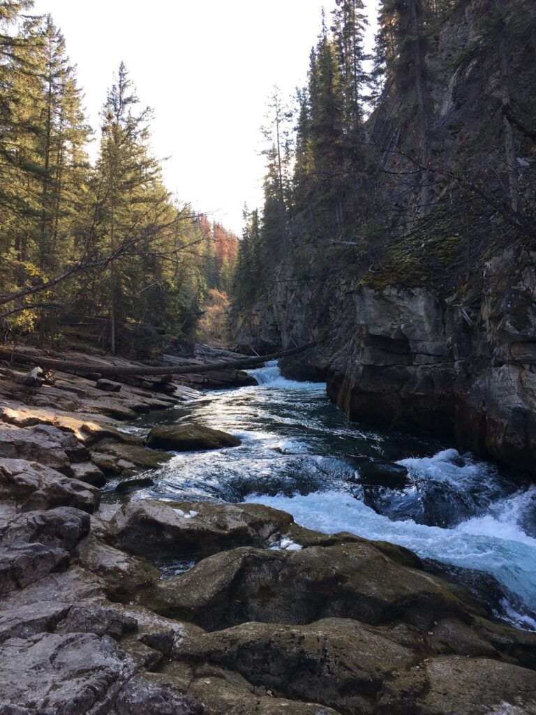 Maligne Canyon Loop