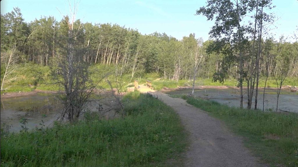 Beaver Pond Trail Pathway