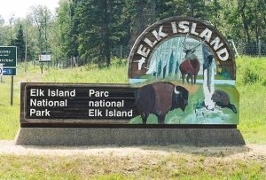 elk island national park canada